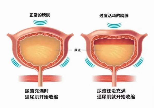 調整大小 640 (11).jpg