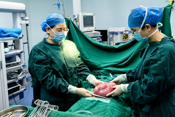 調(diào)整大小 微信圖片_20240808165619.png